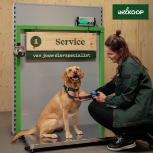 Welkoop